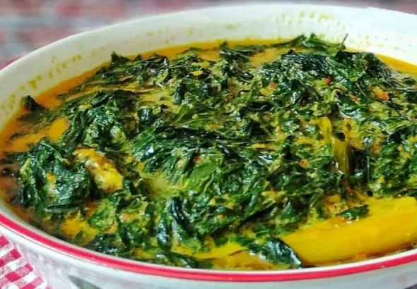 68832164f2a23-sayur-daun-singkong-kuah-santan-makanan-sehat-untuk-keluarga_banyuwangi